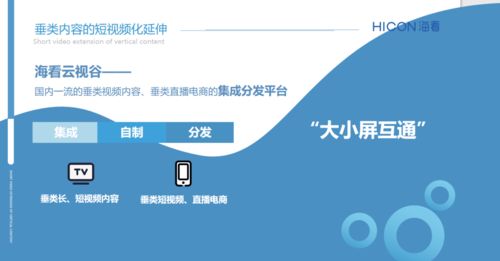 三晉論道，共話未來 ?？垂煞菰S璐璐談精品垂類內(nèi)容產(chǎn)業(yè)化與河北網(wǎng)站開發(fā)的協(xié)同發(fā)展